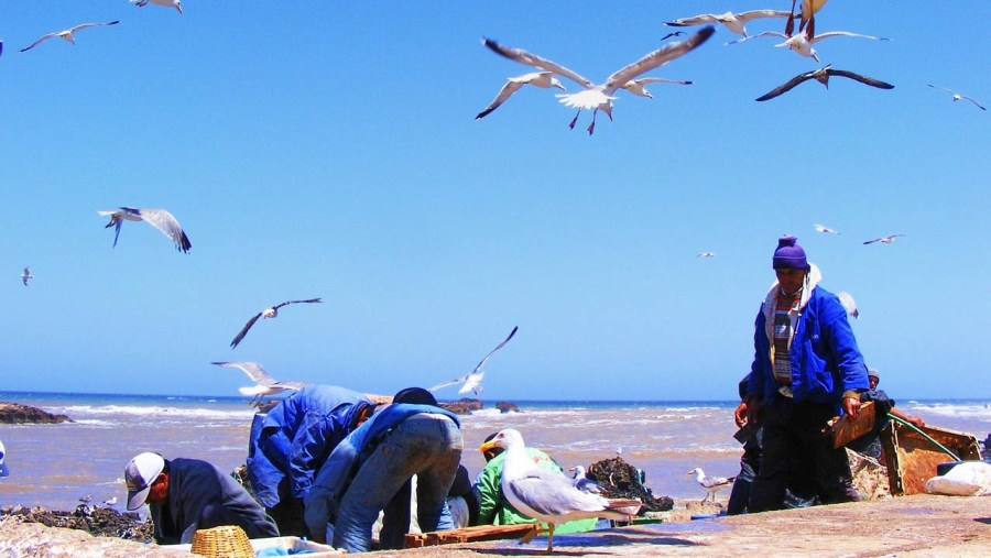 Port of Essaouira