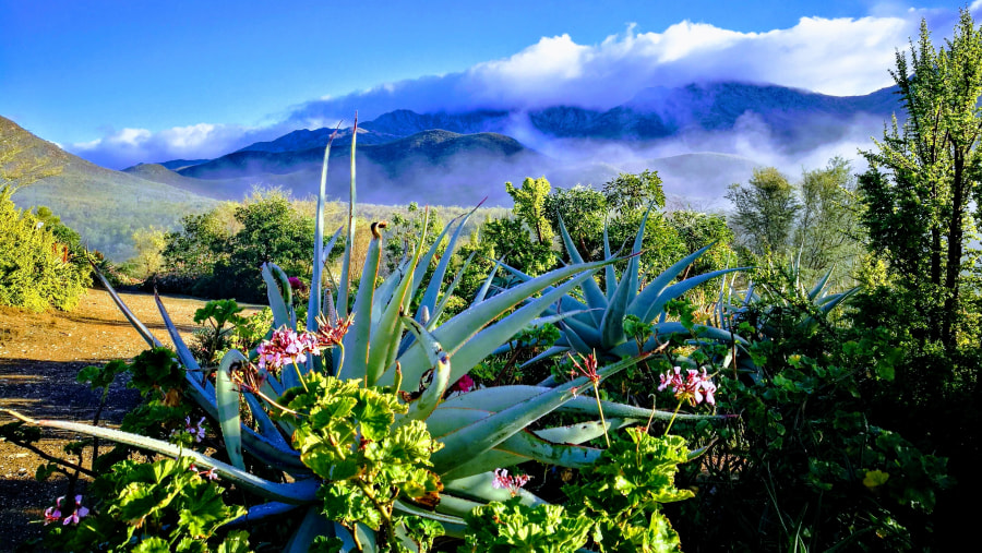 Swartberg Mountains, Karoo