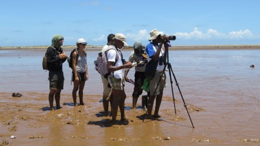 Bird watching in the Sabaki Delta