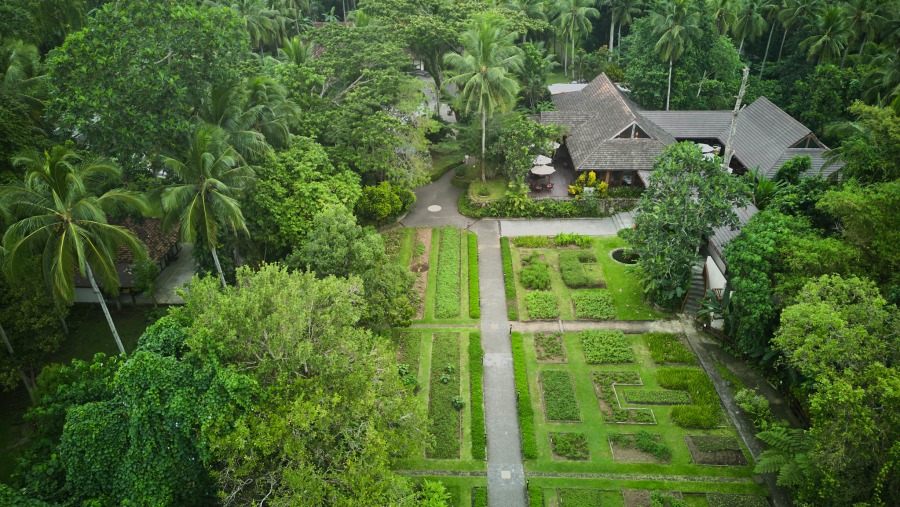 Photo by The Farm at San Benito