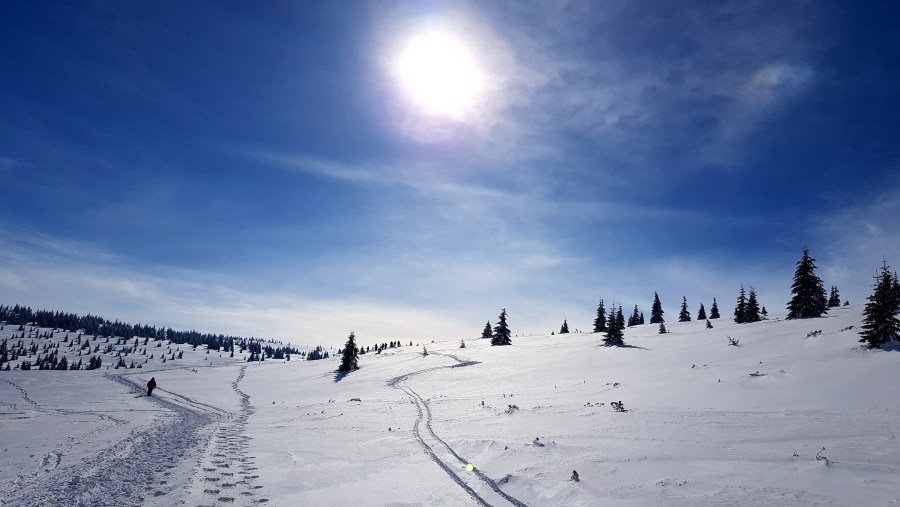 Carpathian Mountains Romania