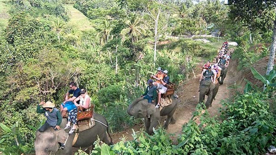 Elephant Ride in Bali Camp