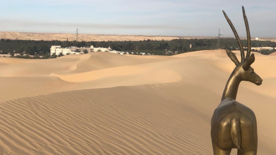 A captivating view showcasing the fine golden sand in El Oued, Algeria, exemplifying the exceptional quality of its deserts.