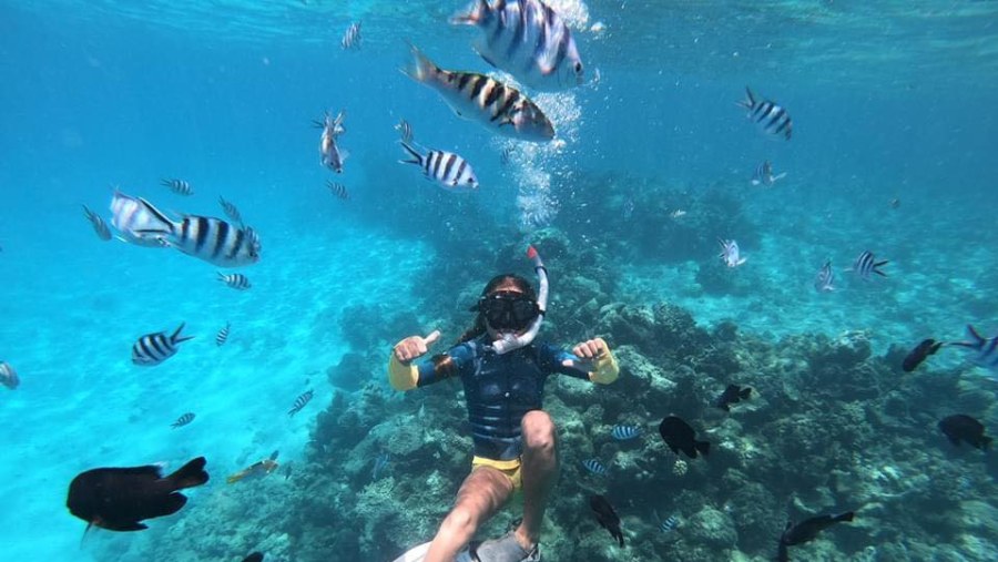 Snorkelling