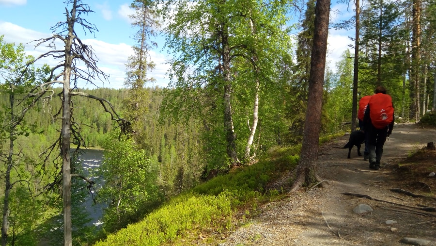 Small Bear Trail in Oulanka National Park, Kuusamo, Finland