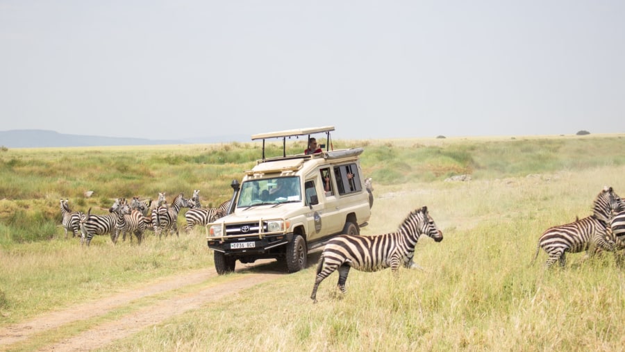 serengeti national park