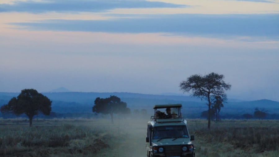 Ruaha National Park, Tanzania