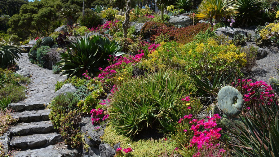 A beautiful botanical garden in Christchurch