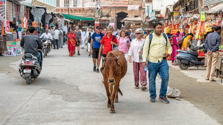 Our tourist watching Pushkar Street with our Guide.