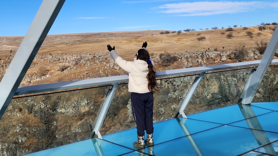 Glass Bridge in Dashbashi Canyon