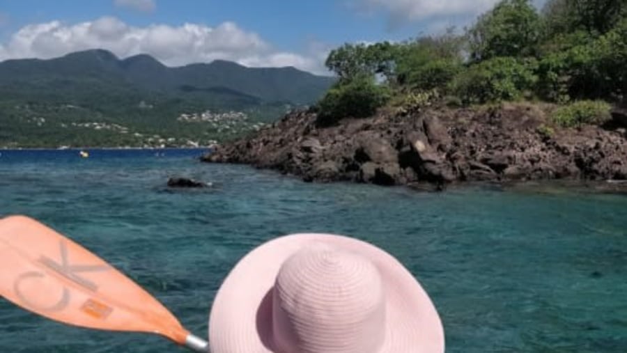 Glass-Bottom Boat Ride