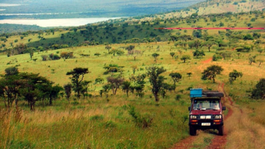 Full day game drive in Akagera National Park