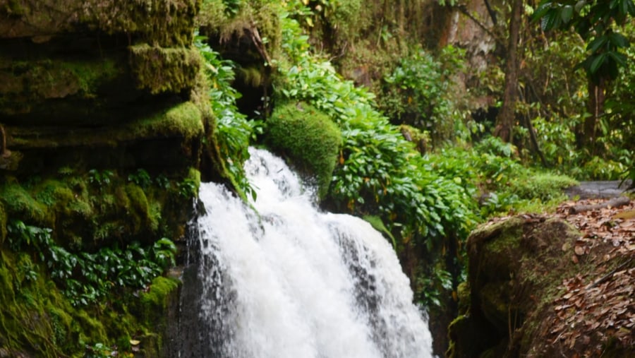 Presidente Figueiredo Waterfall