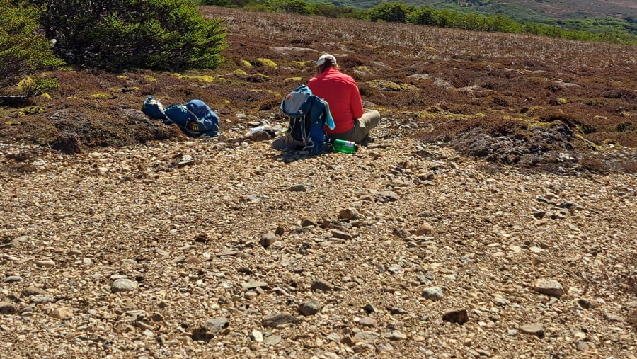 Travellers in Patagonian Forest