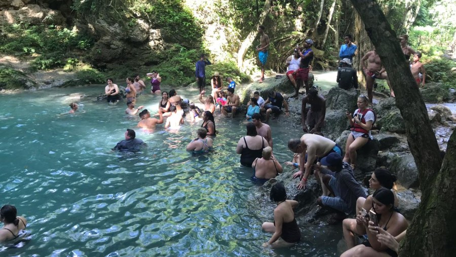 Relax & swim in the waters of Dunn's waterfall