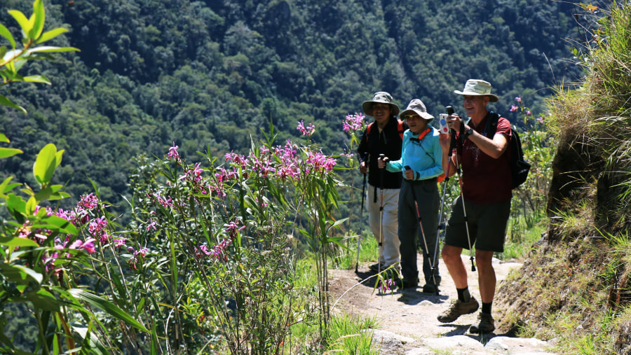 Follow the Inca Trail