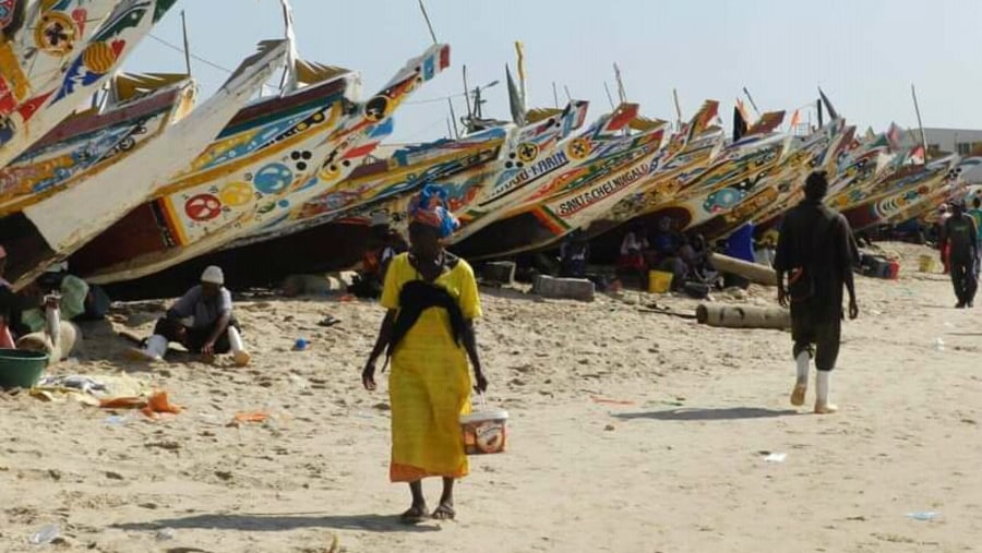 Colourful boats