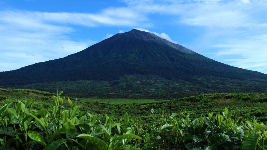 Mt.Kerinci