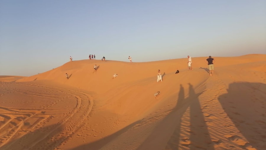 Sand Dunes