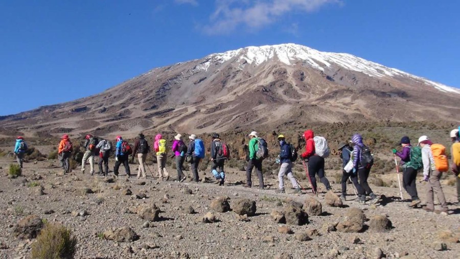 Climbing Expedition to Mount Kilimanjaro