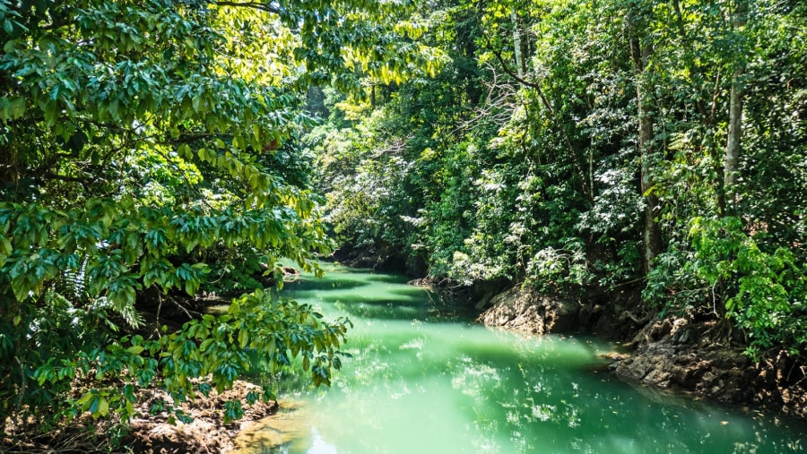 Rio Agujitas Eco Farm