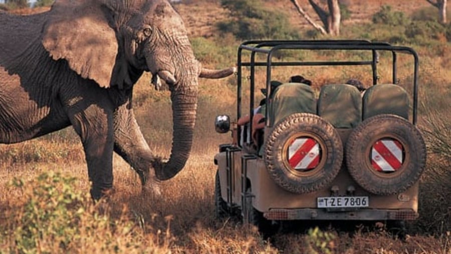 Safari in Kambi Ya Tembo