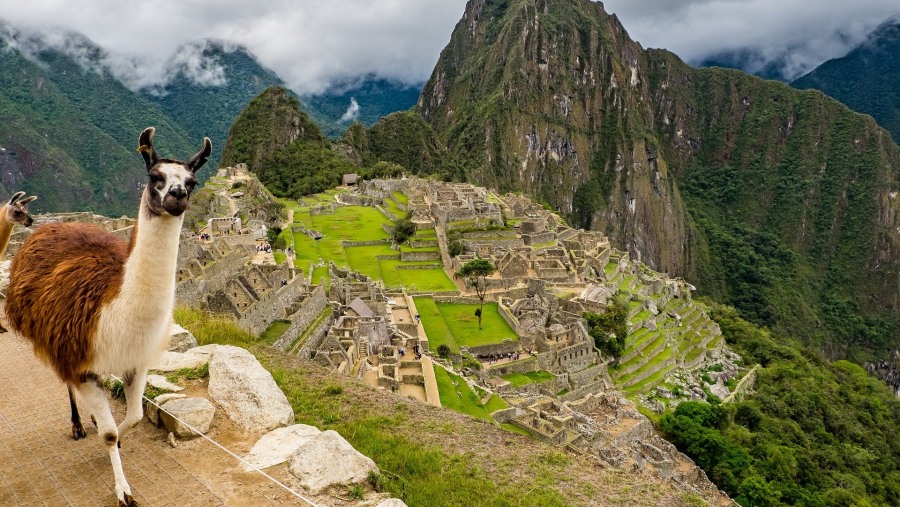 Machu Picchu