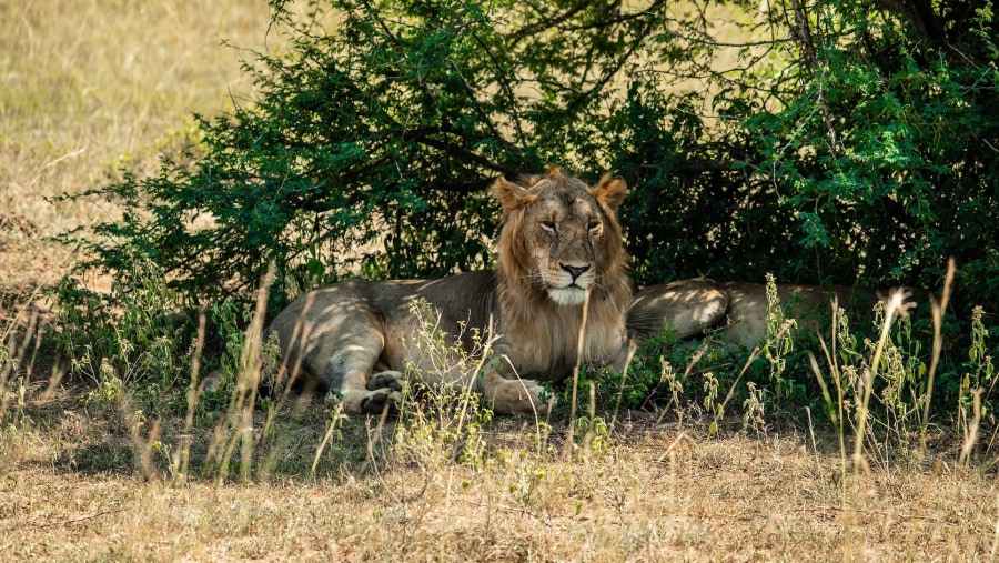 Murchison Falls National Park