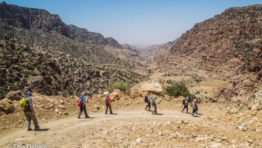 Hiking in Dana reserve