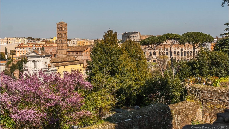 View from the Roman Forum