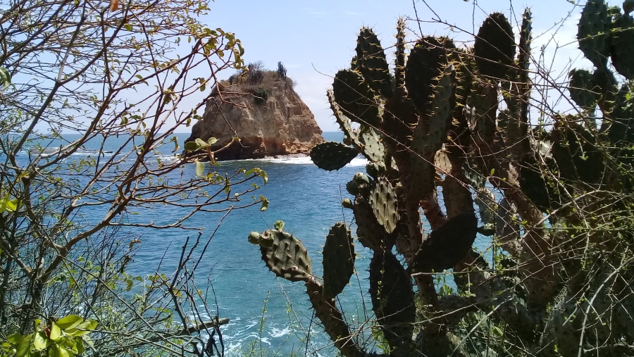 Las Tortuguita - Los Frailes