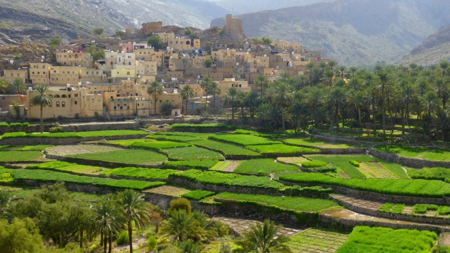 Jebel Akhdar, Oman