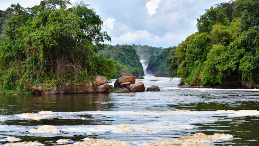 Nile River, Murchison Falls National Park