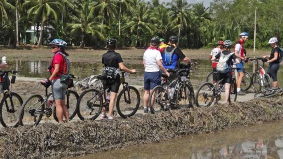 Cycling Tour to Ankor Wat