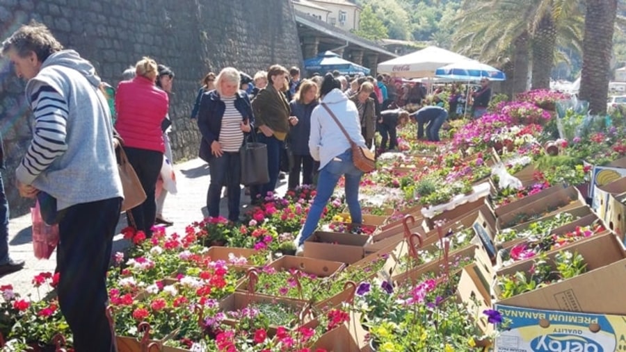 Visit the Kotor Street Market