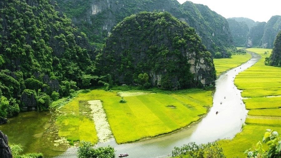 Witness the lush green landscape around the Ngo Dong river