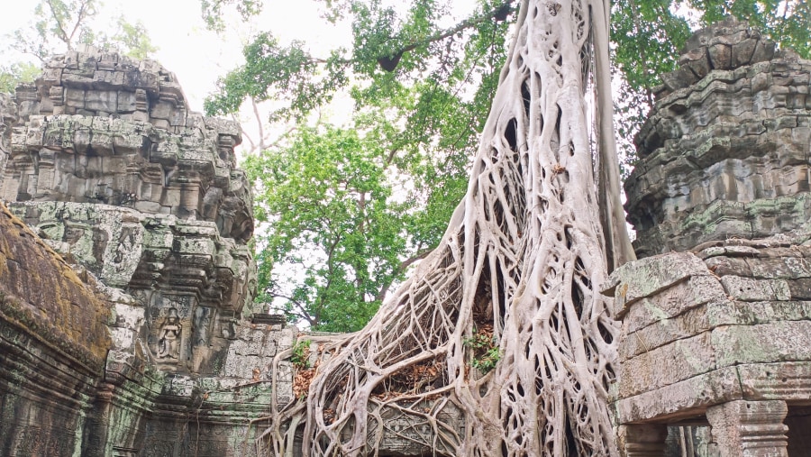 Ta Prohm