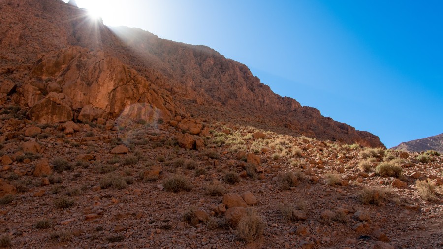 Marvel at the Todra Gorges