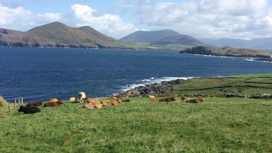 Admire the Valentia Island of Ireland