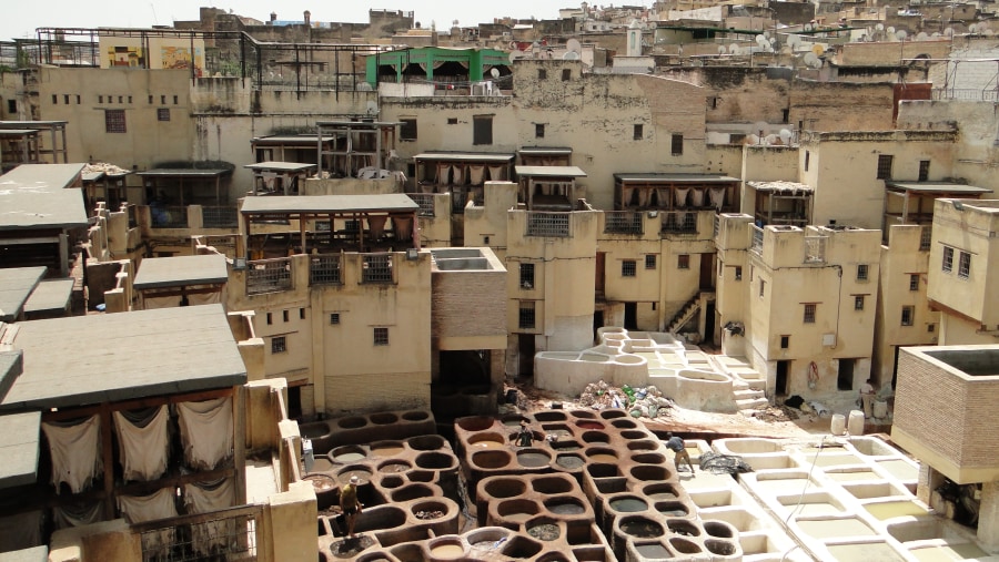 Fez tanneries 