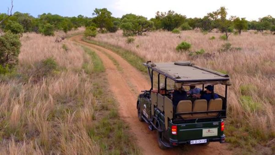 Embark on a Thrilling Open Jeep Safari
