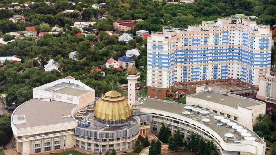 Ariel view of the city