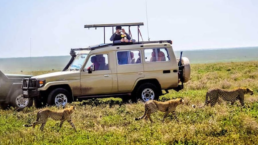 Safari in Kenya