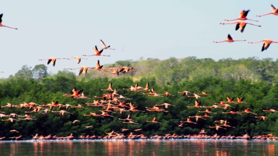 Laguna Guanaroca