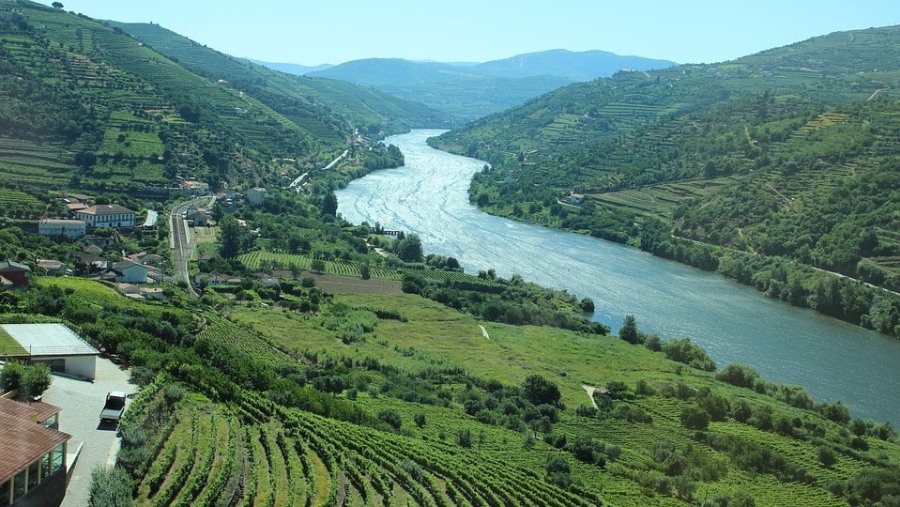 Visit the Douro Valley for a Wine Tour