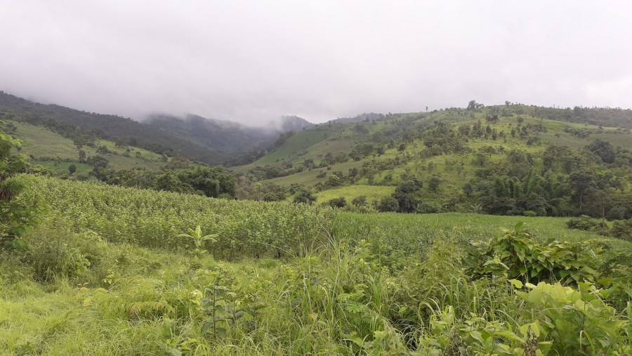 Shan Hill And Green Forest