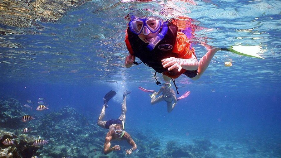 Snorkelling in the sea