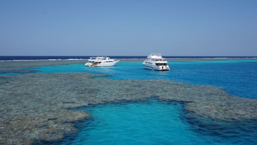 Dolphin House Boat