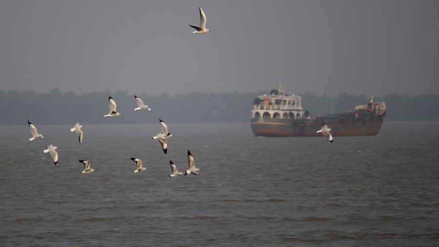 Boating in Gangasagar