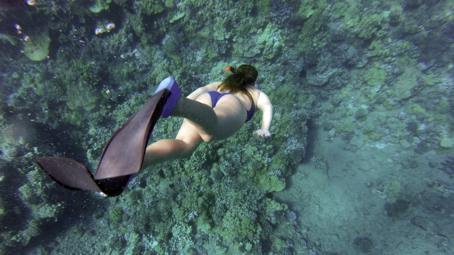 Enjoy Snorkelling in the blue waters of Riviera Maya